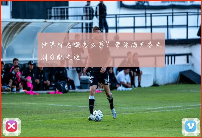 世界杯名额怎么算？带你揭开各大洲分配之谜