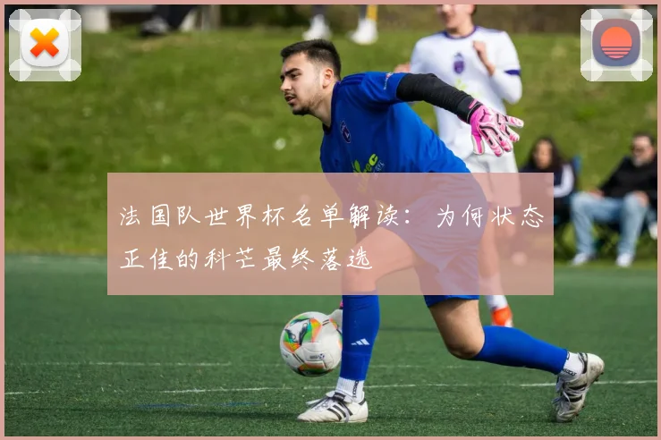 法国队世界杯名单解读：为何状态正佳的科芒最终落选