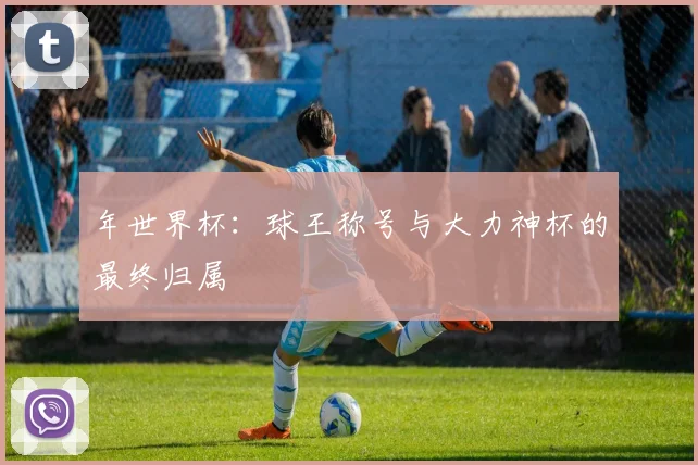 年世界杯：球王称号与大力神杯的最终归属