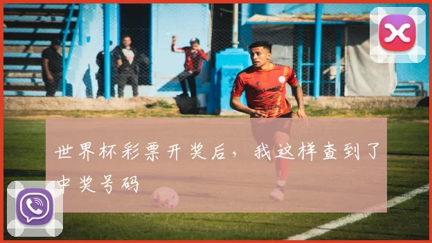 世界杯彩票开奖后，我这样查到了中奖号码