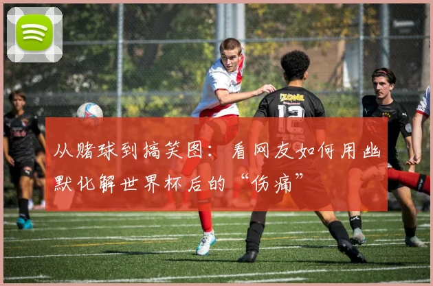 从赌球到搞笑图:看网友如何用幽默化解世界杯后的“伤痛”