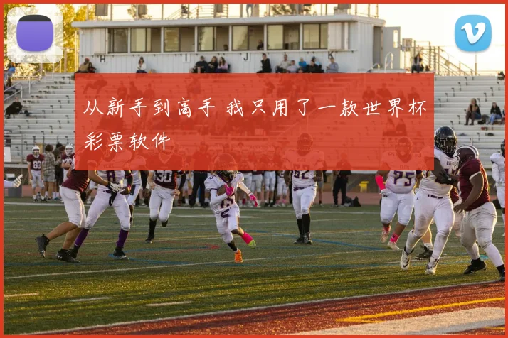 从新手到高手 我只用了一款世界杯彩票软件