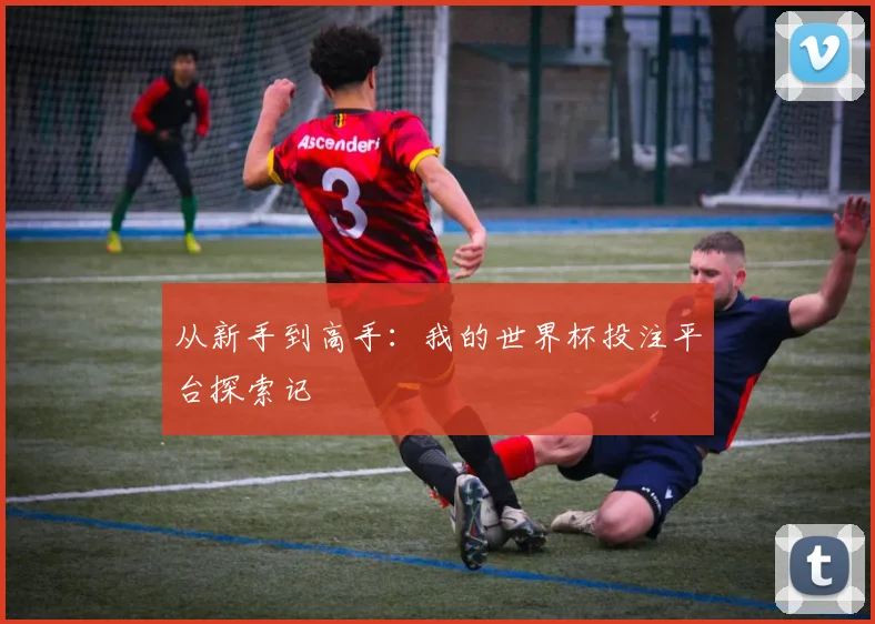 从新手到高手：我的世界杯投注平台探索记