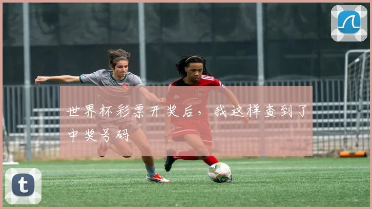 世界杯彩票开奖后，我这样查到了中奖号码