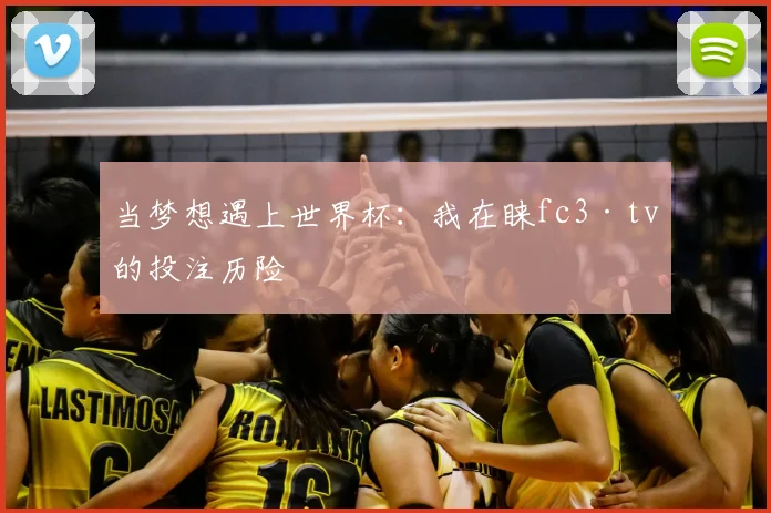 当梦想遇上世界杯:我在睐fc3·tv的投注历险
