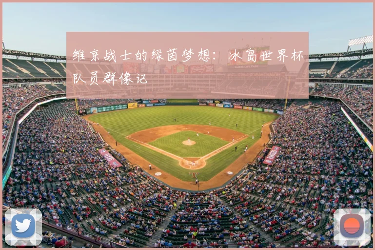 维京战士的绿茵梦想:冰岛世界杯队员群像记