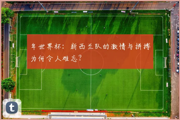 年世界杯:新西兰队的激情与拼搏为何令人难忘?