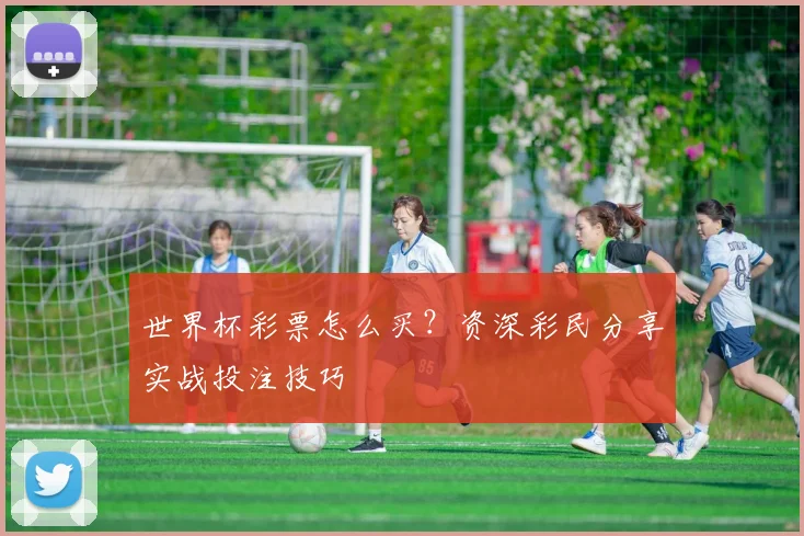 世界杯彩票怎么买？资深彩民分享实战投注技巧
